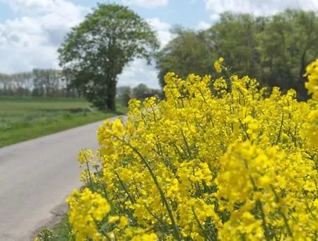 Monteur - Privat Geich