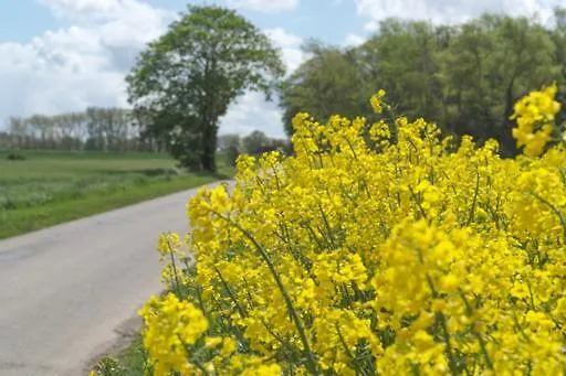 Monteur - Privat Geich