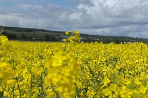 Habitación en casa particular Monteur - Privat Geich